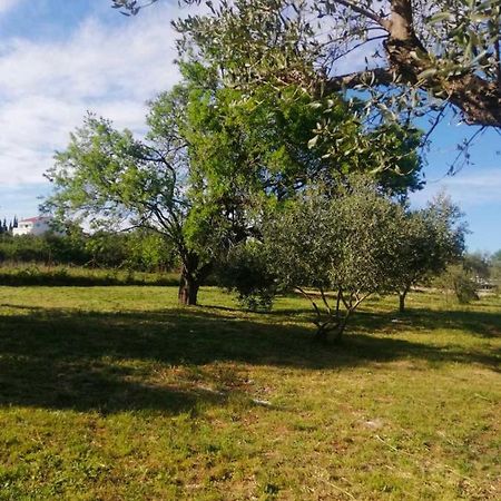 S&M Camping Sveti Filip i Jakov Dış mekan fotoğraf