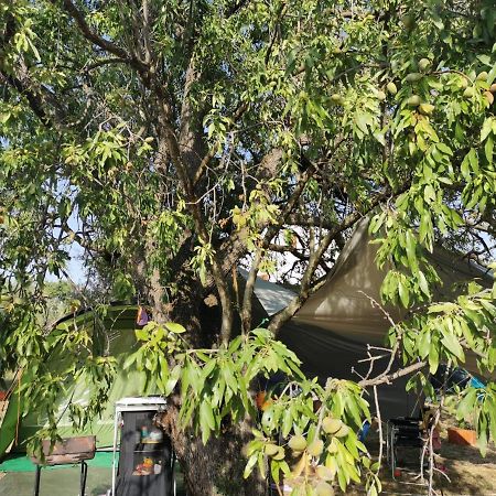 S&M Camping Sveti Filip i Jakov Dış mekan fotoğraf