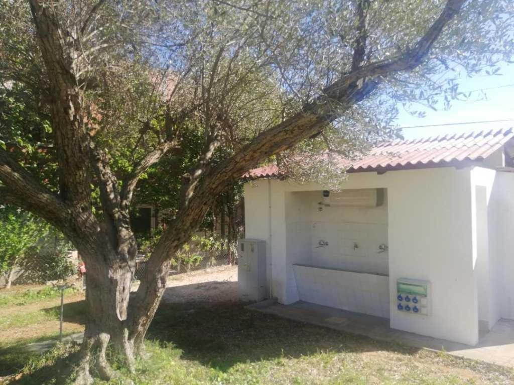 S&M Camping Sveti Filip i Jakov Dış mekan fotoğraf