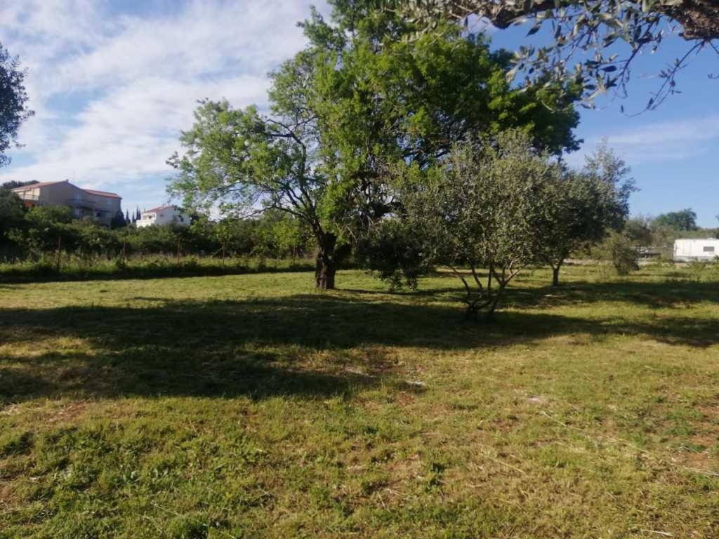 S&M Camping Sveti Filip i Jakov Dış mekan fotoğraf