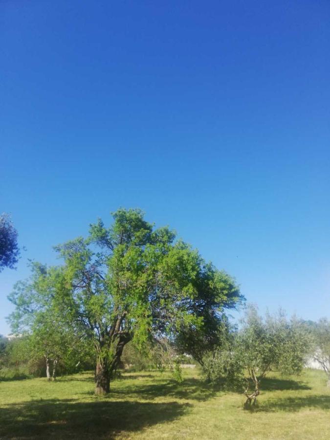 S&M Camping Sveti Filip i Jakov Dış mekan fotoğraf