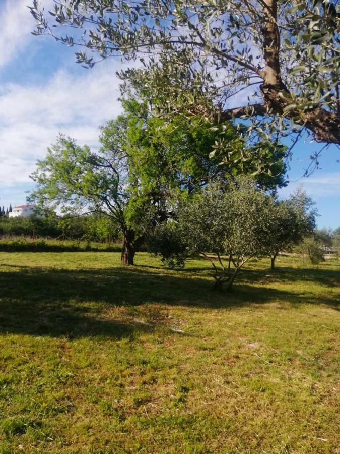 S&M Camping Sveti Filip i Jakov Dış mekan fotoğraf