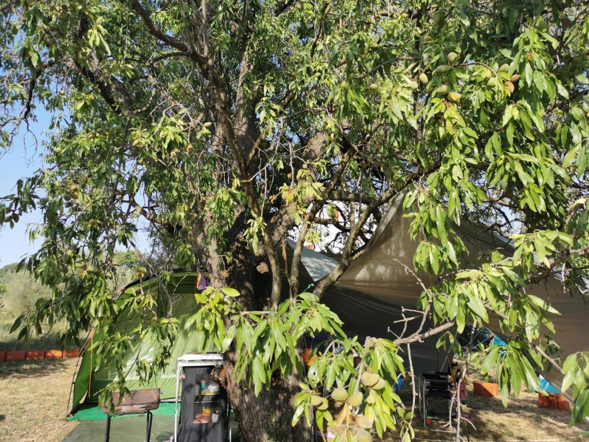 S&M Camping Sveti Filip i Jakov Dış mekan fotoğraf